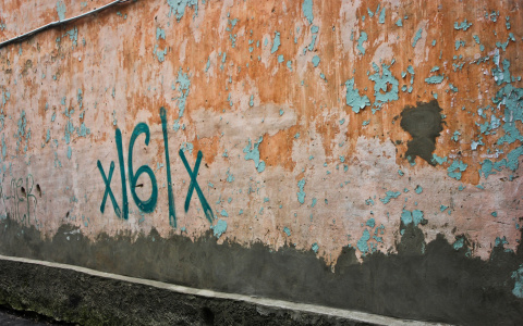 Мэрия Йошкар-Олы направила более 500 требований очистить город от граффити