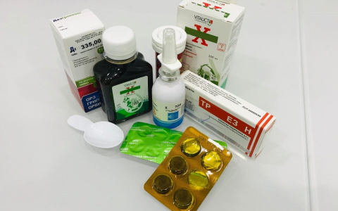 За последние сутки в Марий Эл от COVID-19 выздоровело 11 человек