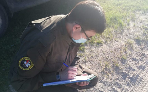 Девятилетний малыш погиб под колесами трактора в Марий Эл: пьяный водитель предстанет перед судом