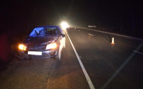 Известны подробности ДТП на трассе, где насмерть сбили жителя Марий Эл