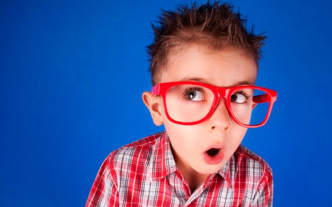 Сможете ответить на эти необычные, но простые вопросы?