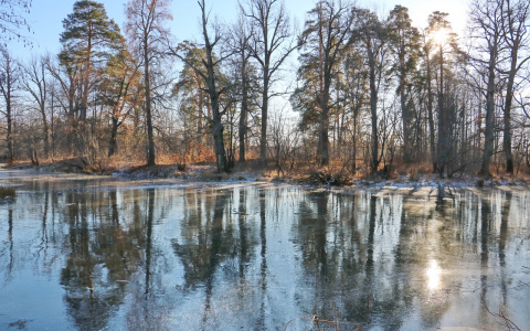 Выходные дни в Йошкар-Оле порадуют горожан хорошей погодой