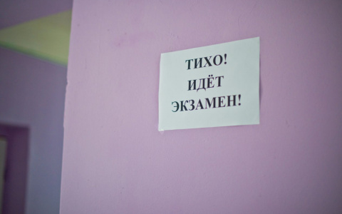 Выпускники из Марий Эл будут писать итоговое сочинение на полгода позже