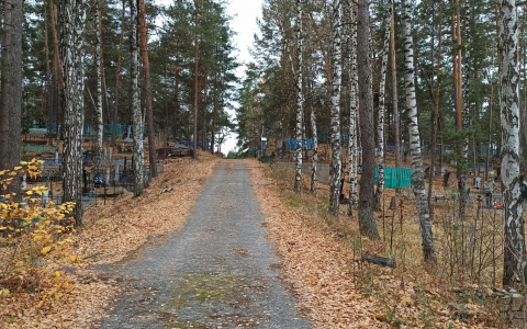 Кровавые криминальные разборки в Марий Эл: убийца предстанет перед судом