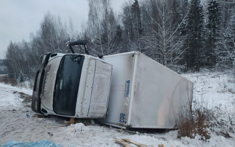 В Марий Эл мужчина не справился с управлением при обгоне