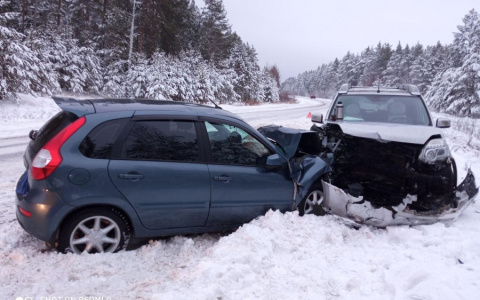 Непристегнутый водитель скончался на месте: серьезное ДТП на трассе в Марий Эл