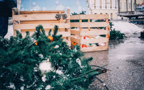 Новый год на носу: где и когда в Йошкар-Оле откроются елочные базары