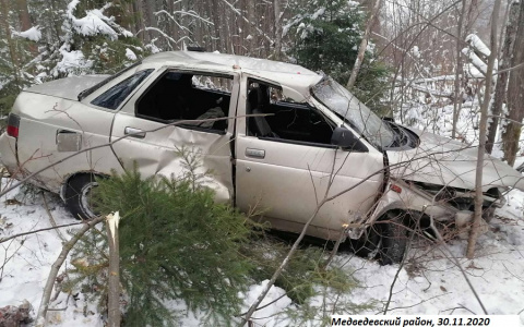Двое пострадавших: лада "влетела" в деревья на обочине трассы в Марий Эл