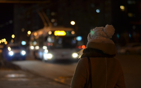 Из троллейбуса на больничную койку: в Йошкар-Оле женщина упала в общественном транспорте