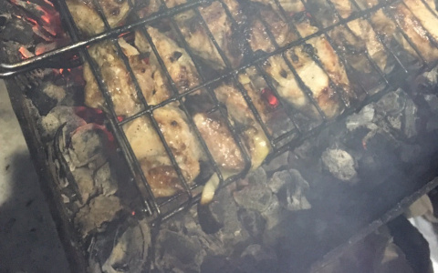 Шашлыков не будет? Жителям Марий Эл запретят разжигать костры во дворе