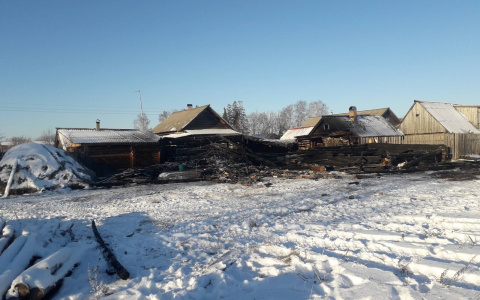 В Марий Эл в пожаре заживо сгорели домашние животные