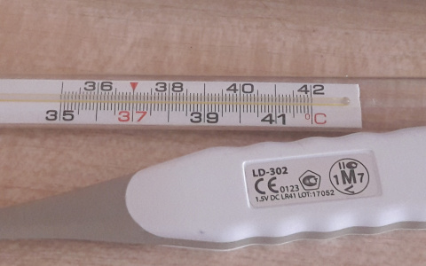 Йошкаролинцы заметили, что из аптек исчезают ртутные градусники