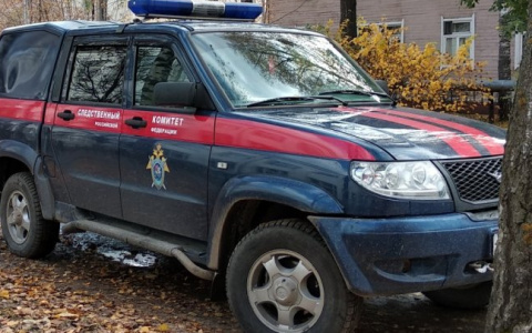 Проводят проверку: появились подробности отравления детей в Йошкар-Оле