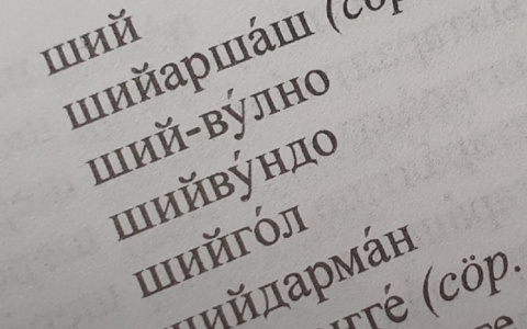 В Марий Эл выбрали слово года