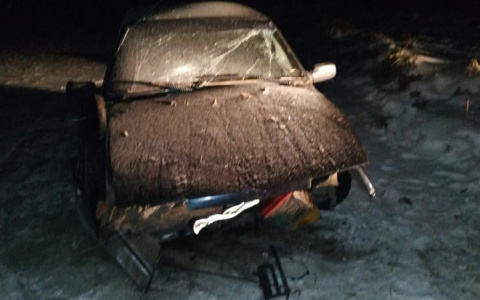 В Марий Эл пьяный водитель «пытался утопить» авто в Волге