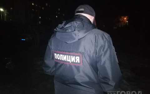 НТВ назвал Йошкар-Олу столицей виртуальных лже-невест