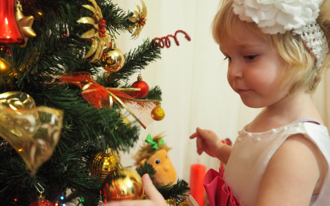 Специалисты дали советы йошкаролинцам, как выбрать сладкий подарок и не отравиться