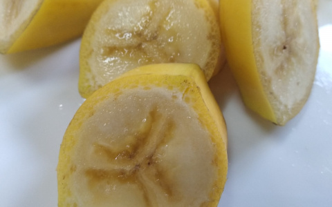 В Йошкар-Оле собрали зимний урожай бананов