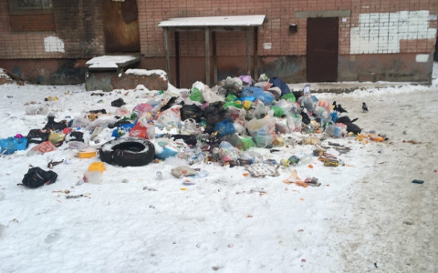 Жители Девятого микрорайона устроили свалку прямо во дворе своего дома