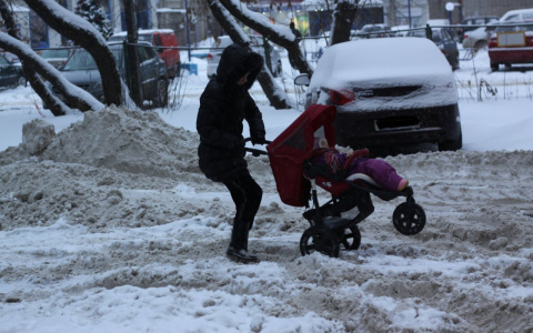В России предложили платить зарплату матерям