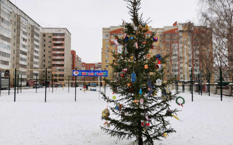 Во дворах Йошкар-Олы украсили елки