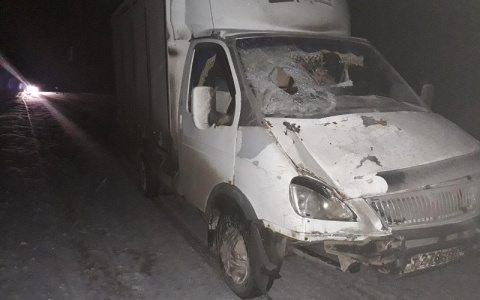 В Марий Эл Газель насмерть сбила пешехода