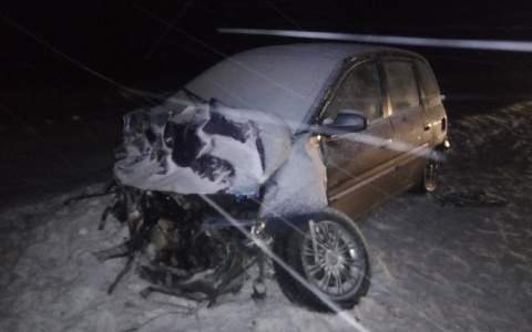 На трассе Марий Эл автоледи вылетела на встречку и попала под КамАЗ