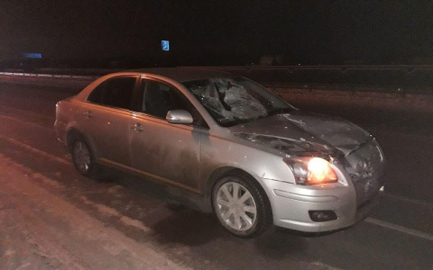 В Марий Эл на трассе насмерть сбили пешехода