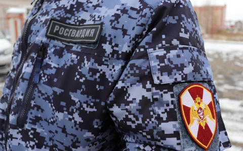 В Йошкар-Оле задержали подозреваемого в краже из автотранспорта