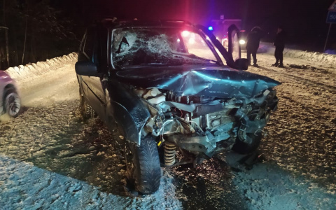 В Марий Эл в результате ДТП погибло два человека