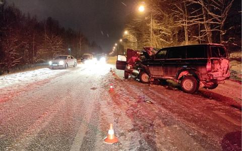 Нарушение ПДД унесло жизнь женщины: смертельное ДТП на окраине Йошкар-Олы