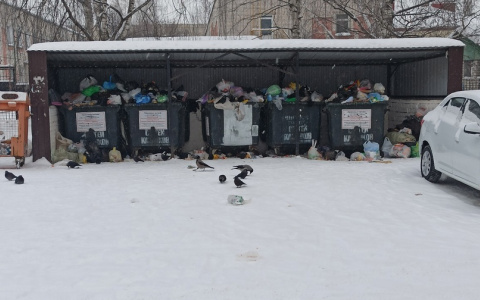 Последствия похолодания: в йошкар-олинских дворах горы мусора