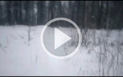 Жители деревни в Марий Эл своими силами чистят тропу до автобусной остановки