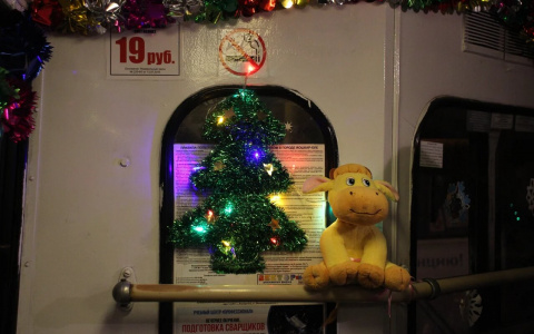 Работники троллейбусов Йошкар-Олы были награждены за сказочное оформление