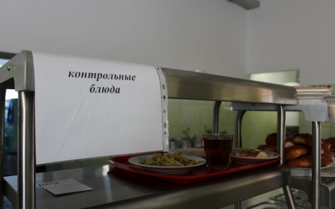 В йошкар-олинских школах выявили нарушения