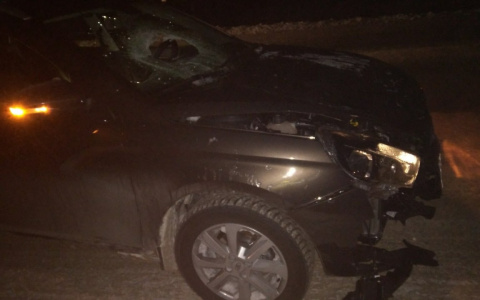 В Марий Эл мужчина встал посреди трассы и погиб под колесами "Весты"