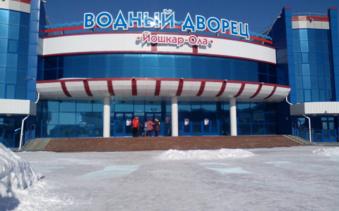 В Йошкар-Оле студенты и школьники смогут посетить спортобъекты бесплатно