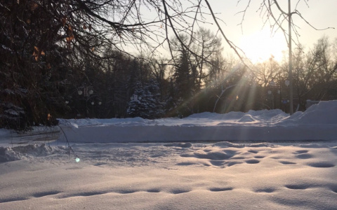 В Волжске к 2022 году появится современный экопарк "Дубовая роща"