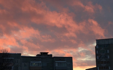 В одном  их микрорайонов Йошкар-Олы проверили чистоту воздуха