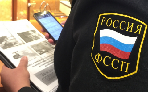 В Марий Эл должник прятался от судебных приставов в садовом доме