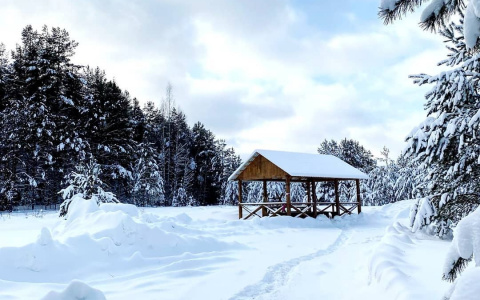 В Йошкар-Оле будет солнечно и очень морозно