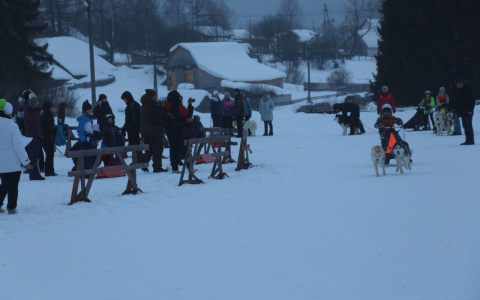 Впервые в Марий Эл пройдут гонки на собачьих упряжках