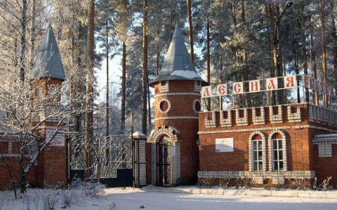 В Марий Эл рассказали о дальнейшей судьбе санатория "Лесная сказка"