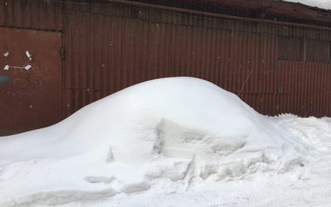 Бизнес по-русски: житель Йошкар-Олы выставил на продажу снег