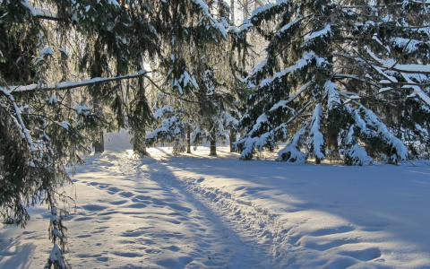 Выходные в Йошкар-Оле будут морозные и солнечные