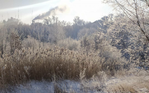 Выходные для йошкар-олинских школьников могут продолжиться