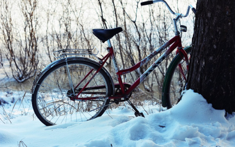Пьяный йошкаролинец украл велосипед, но не довез его до дома