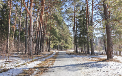 В Йошкар-Олу впервые за долгое время придет плюсовая температура