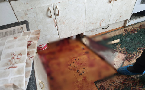 Жительница Марий Эл в драке убила любимого топориком для мяса