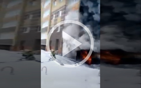 Йошкаролинец снял пожар в новостройках Мышино, находясь в метре от огня